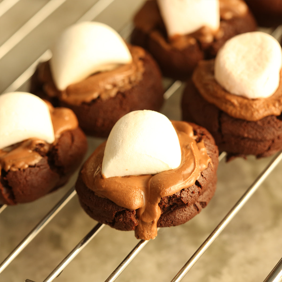 Hot Chocolate Cookies