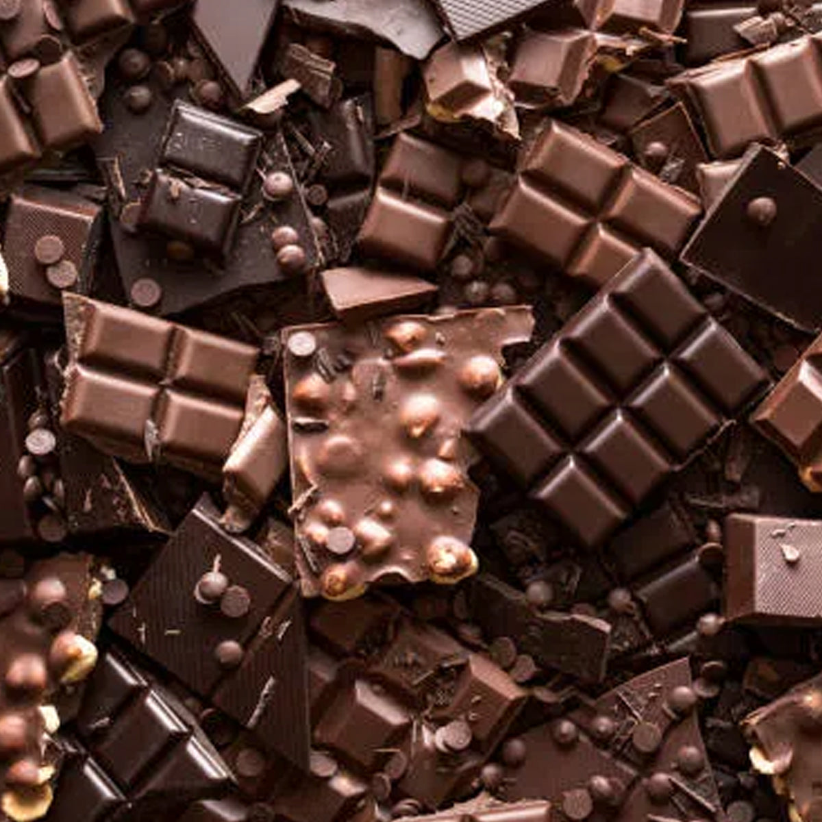 India's A.P. state tops in cocoa production, thanks to tech support