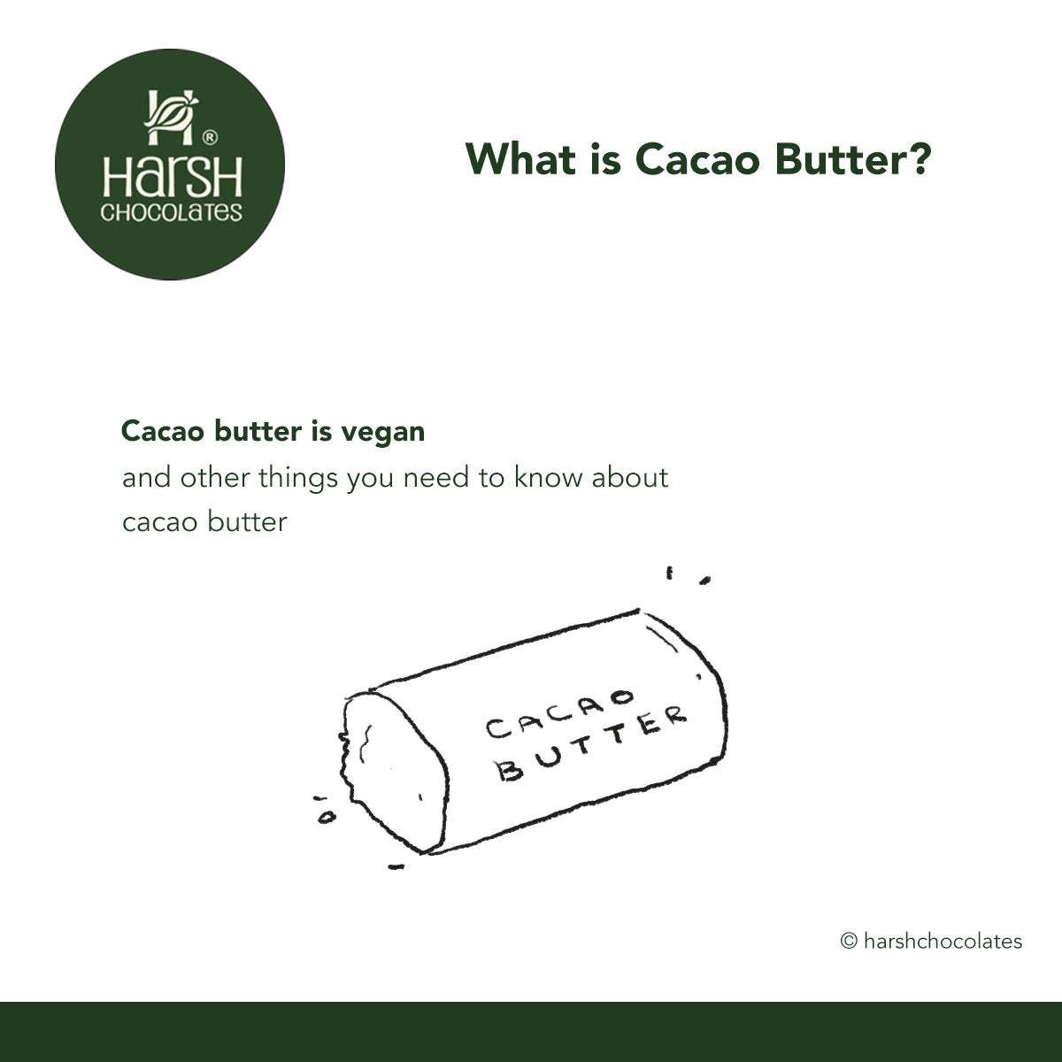 Cacao Butter: Everything You Need to Know