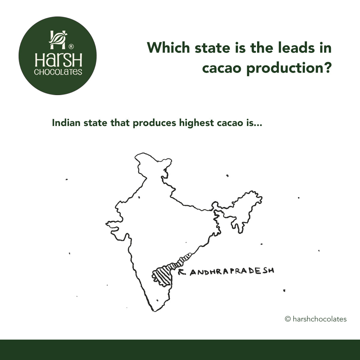 Andhra Pradesh Leads India's Cocoa Production with Tech-Driven Growth