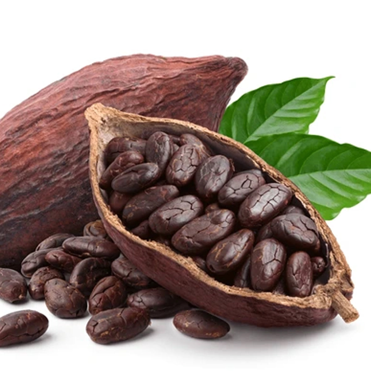 Chocolates That Are Crafting a Sustainable Chain—From Farm to Factory