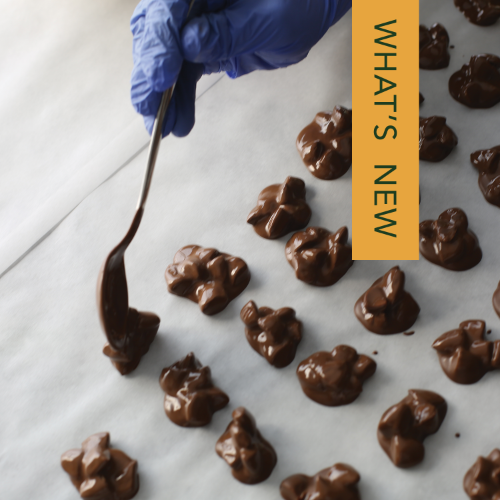 Vegan Almond Rocks | Sugarfree Almond Rocks by Harsh Chocolates